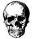 Skulls 4 All